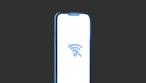 Punto de venta sin internet